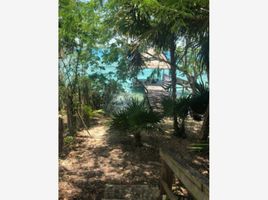  Grundstück zu verkaufen in Othon P Blanco, Quintana Roo, Othon P Blanco