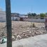  Grundstück zu vermieten in Monterrey, Nuevo Leon, Monterrey, Nuevo Leon