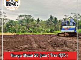  Land for sale in Kepanjen, Malang Regency, Kepanjen