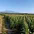  Land for sale in Colima, Colima, Colima, Colima