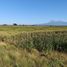  Land for sale in Colima, Colima, Colima, Colima