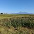  Land for sale in Colima, Colima, Colima, Colima