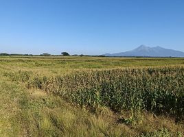  Land for sale in Colima, Colima, Colima, Colima