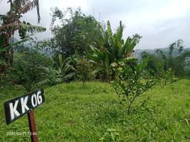  Tanah for sale in Bogor, West Jawa, Cariu, Bogor