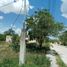  Land for sale in Merida, Yucatan, Merida, Yucatan