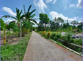  Land for sale in Prambanan, Klaten, Prambanan