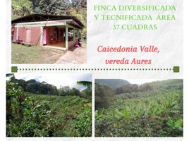 3 Habitación Villa en venta en Caicedonia, Valle Del Cauca, Caicedonia