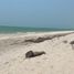  Land for sale in Carmen, Campeche, Carmen