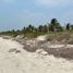  Land for sale in Carmen, Campeche, Carmen