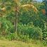  Land for sale in Selemadeg, Tabanan, Selemadeg