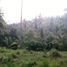  Land for sale in Selemadeg, Tabanan, Selemadeg