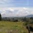 Terrain à vendre à El Carmen De Viboral, Antioquia, El Carmen De Viboral