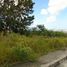  Land for sale in Talisay City, Cebu, Talisay City