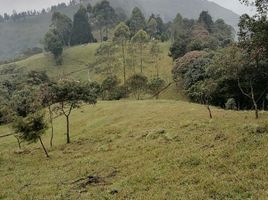  Villa zu verkaufen in Caldas, Antioquia, Caldas