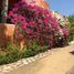 3 Bedroom House for sale in Jose Azueta, Guerrero, Jose Azueta