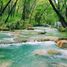  Land for sale in Bustamante, Nuevo Leon, Bustamante