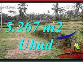  Land for sale in Tegallalang Rice Terrace, Tegallalang, Tegallalang