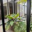 2 Bedroom House for sale in Merida, Yucatan, Merida