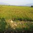  Terreno (Parcela) en venta en Sumurbandung, West Jawa, Sumurbandung, Bandung