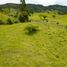  Land for sale in Loja, Loja, Loja, Loja