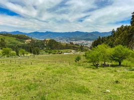  Land for sale in Loja, Loja, Loja, Loja