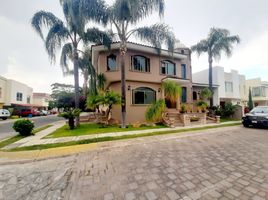 4 chambre Appartement for sale in Jalisco, Zapopan, Jalisco