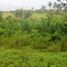  Land for sale in Kerambitan, Tabanan, Kerambitan