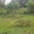  Land for sale in Kerambitan, Tabanan, Kerambitan