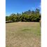  Land for sale in Yali, Antioquia, Yali