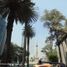 96 m² Office for rent in Azcapotzalco, Ciudad de México, Azcapotzalco