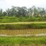  Tanah for sale in Tampak Siring, Gianyar, Tampak Siring