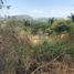 Terrain à vendre à Cuernavaca, Morelos, Cuernavaca, Morelos