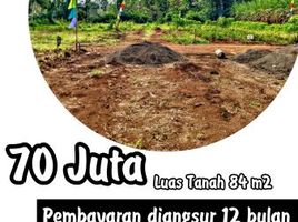  Land for sale in Kepanjen, Malang Regency, Kepanjen