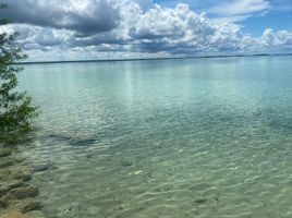  Grundstück zu verkaufen in Othon P Blanco, Quintana Roo, Othon P Blanco