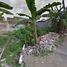  Terreno (Parcela) en venta en Blimbing, East Jawa, Blimbing, Malang Regency, East Jawa