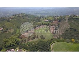  Terreno (Parcela) en venta en Caldas, Palestina, Caldas