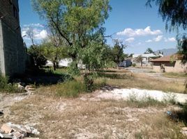  Grundstück zu verkaufen in Arteaga, Coahuila, Arteaga