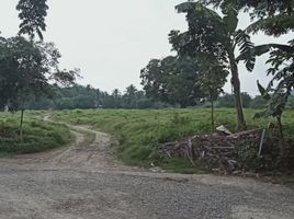  Land for sale in Batangas, Calabarzon, Taysan, Batangas