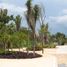  Grundstück zu verkaufen in Yaxkukul, Yucatan, Yaxkukul