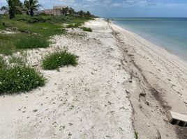  Grundstück zu verkaufen in Ixil, Yucatan, Ixil