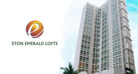 Available Units at ETON EMERALD LOFTS