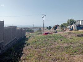  Grundstück zu verkaufen in Tijuana, Baja California, Tijuana