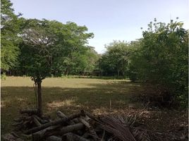  Grundstück zu verkaufen in Santa Fe De Antioquia, Antioquia, Santa Fe De Antioquia