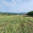  Land for sale in Manizales, Caldas, Manizales