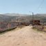  Land for sale in Oropesa, Cusco, Oropesa, Quispicanchi