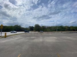  Grundstück zu verkaufen in Cozumel, Quintana Roo, Cozumel