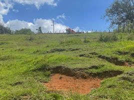  Land for sale in La Cumbre, Valle Del Cauca, La Cumbre