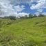  Land for sale in La Cumbre, Valle Del Cauca, La Cumbre