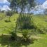  Land for sale in La Cumbre, Valle Del Cauca, La Cumbre