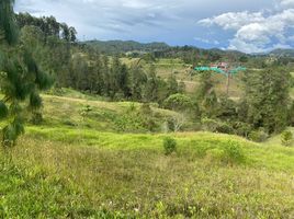  Land for sale in La Ceja, Antioquia, La Ceja